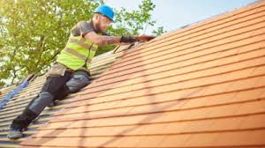 Best Skylight Installation and Repair  in Alum Creek, WV