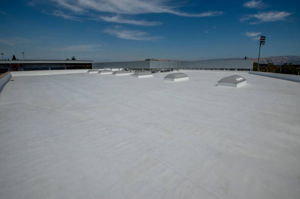 Best Roof Insulation Installation  in Alum Creek, WV