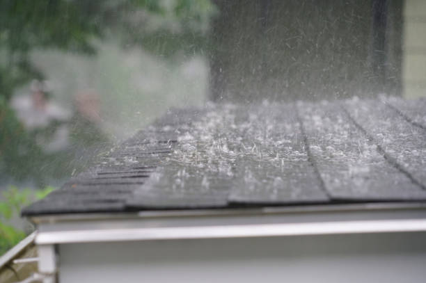 Best Gutter Installation and Repair  in Alum Creek, WV
