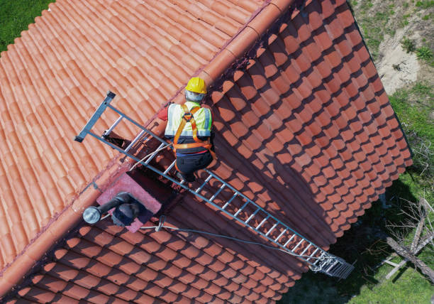 Best Roof Ventilation Installation  in Alum Creek, WV