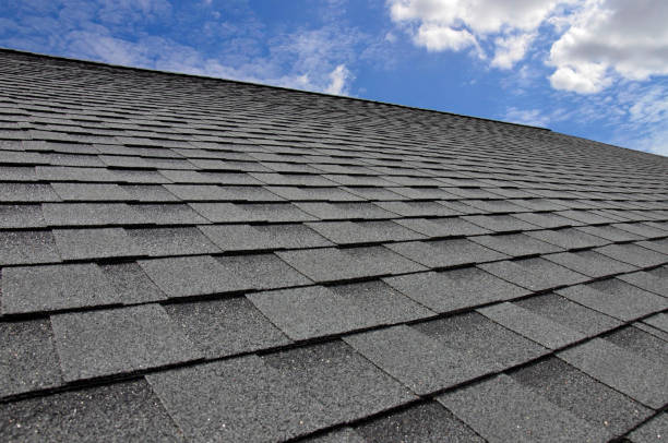 Best Metal Roofing Installation  in Alum Creek, WV